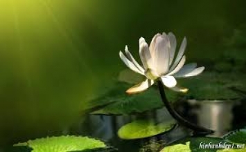 Trẻ em có cần kỷ luật? Làm sao chúng ta làm điều đó mà không trở nên giận dữ?